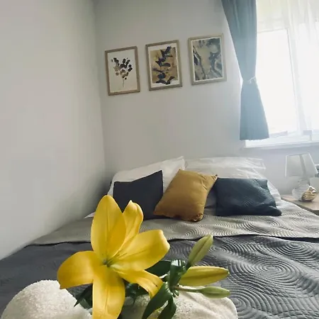 Apartamenty Majka Zator Esterno foto