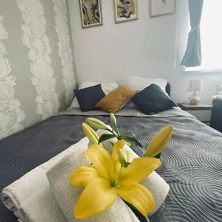 Apartamenty Majka Zator Esterno foto