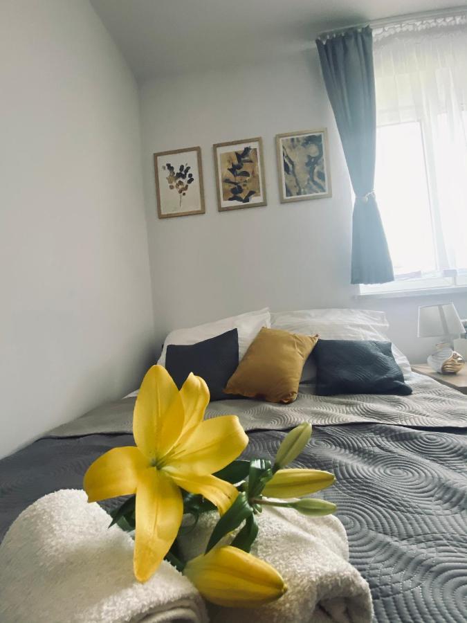 Majka Homestay Zator